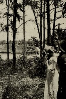 The Confederate Ironclad (1912) afişi