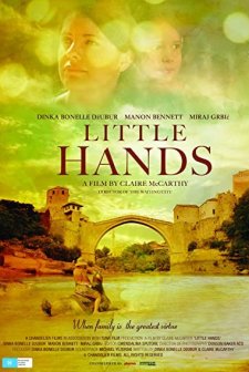 Little Hands (2011) afişi