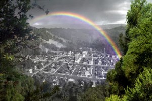 Yaşamın Renkleri Fotoğrafı