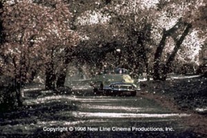 Yaşamın Renkleri fotoğrafı