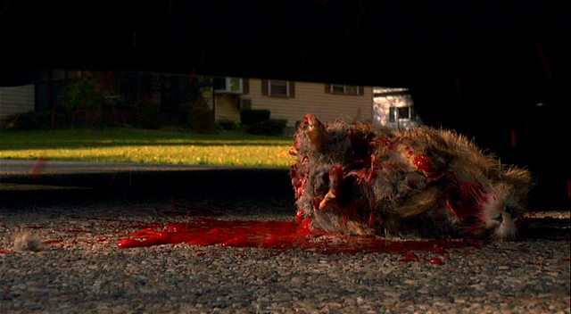 Rise Of The Animals Fotoğrafı