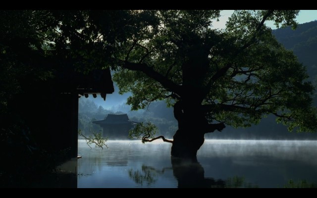 İlkbahar Yaz Sonbahar Kış Ve İlkbahar fotoğrafı