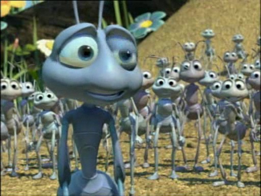 Bir Böceğin Yaşamı Fotoğrafı