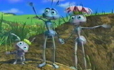 Bir Böceğin Yaşamı Fotoğrafı