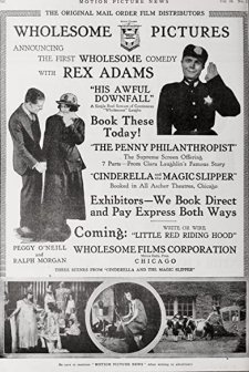 Cinderella and the Magic Slipper (1917) afişi