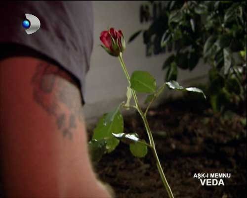 Aşk-ı Memnu Fotoğrafı