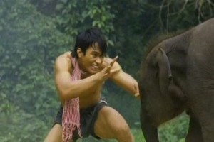 Koruyucu fotoğrafı