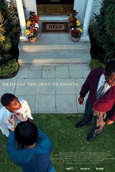 The Strange Thing About the Johnsons (2011) afişi