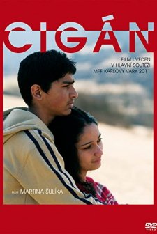 Çingene (2011) afişi