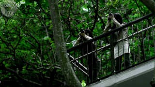 Korkunç Güzellik fotoğrafı