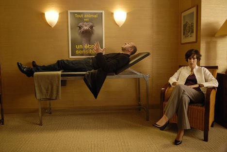 My Stars Fotoğrafı