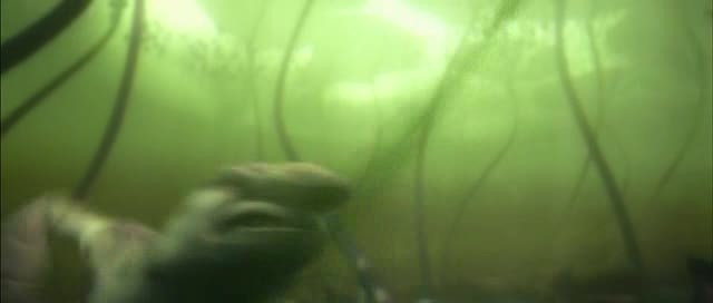 Doğal Kahramanlar Fotoğrafı