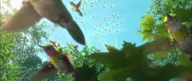 Doğal Kahramanlar Fotoğrafı