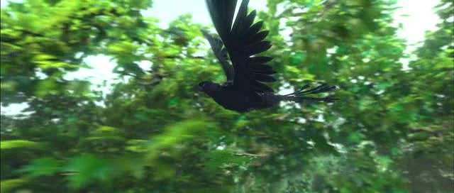 Doğal Kahramanlar Fotoğrafı