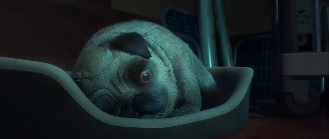 Doğal Kahramanlar Fotoğrafı