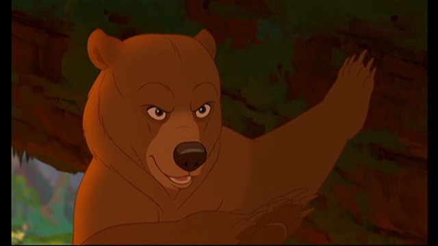 Ayı Kardeş Fotoğrafı