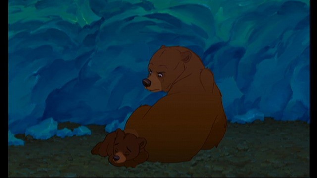 Ayı Kardeş Fotoğrafı