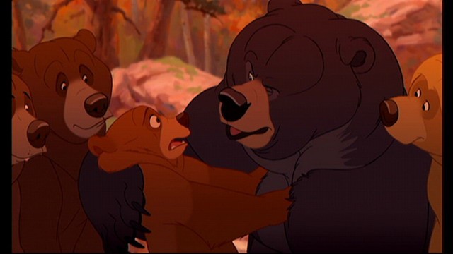 Ayı Kardeş Fotoğrafı