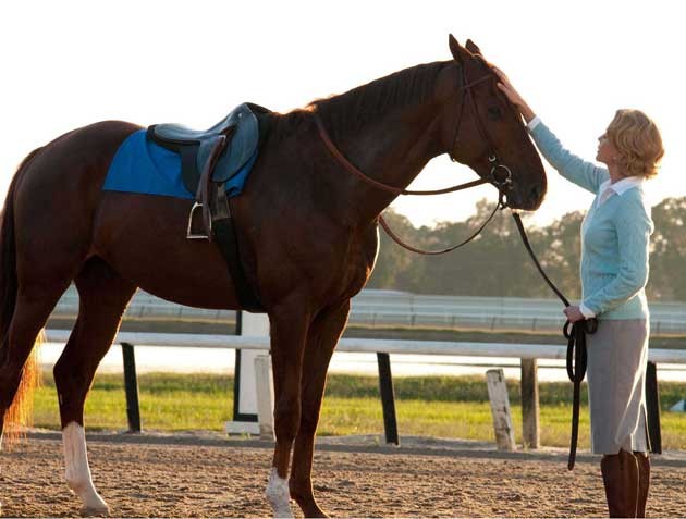 Siyah At Fotoğrafı