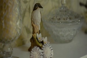 Arıza Aile fotoğrafı