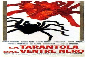 Black Belly of the Tarantula fotoğrafı