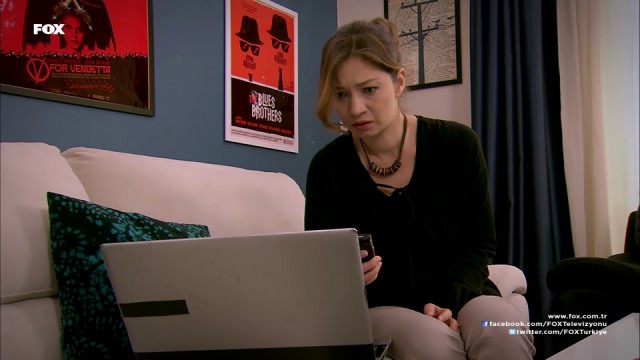 Deniz Yıldızı Fotoğrafı