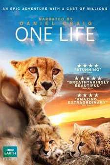 One Life (2011) afişi