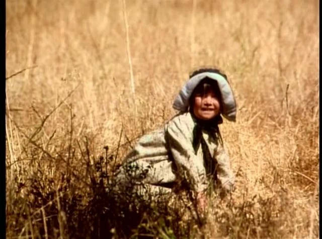 Küçük Ev Fotoğrafı