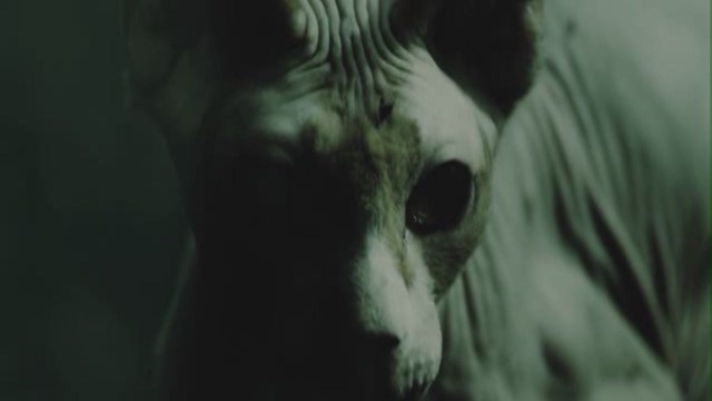 Tanrının Kitabı Fotoğrafı