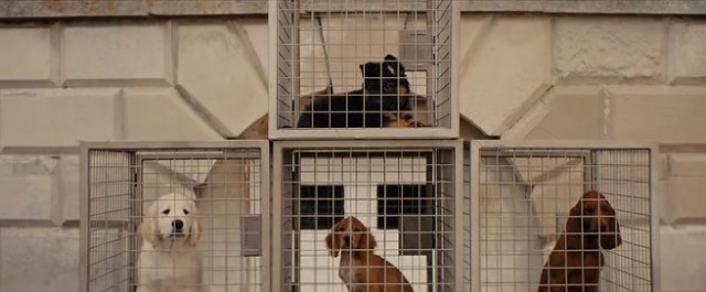 Kingsman: Gizli Servis Fotoğrafı