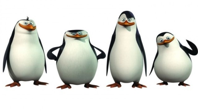 Madagaskar Penguenleri Fotoğrafı