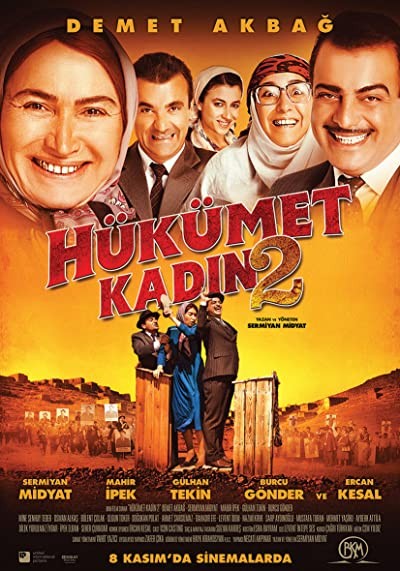 Hükümet Kadın 2 (2013) afişi