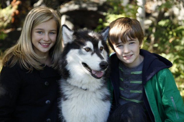 Doğayla Mücadele Fotoğrafı