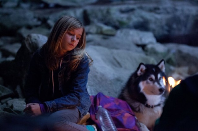 Doğayla Mücadele Fotoğrafı