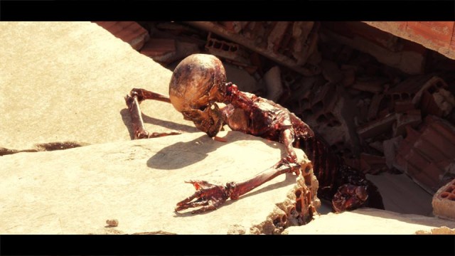 FallouTR Fotoğrafı