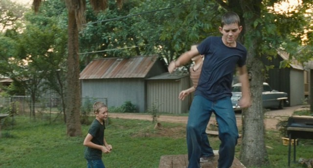 Hayat Ağacı Fotoğrafı