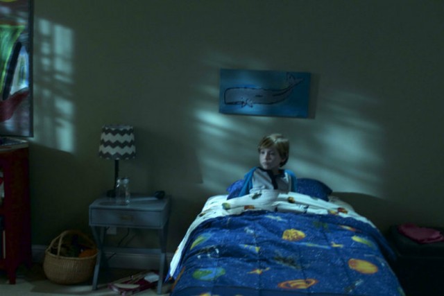 Kabustan Gelen Fotoğrafı