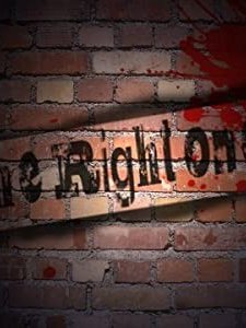 The Right One (2011) afişi