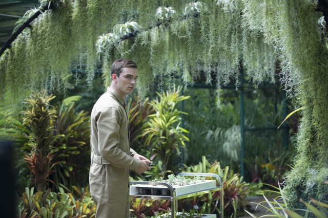 Aşk Uğruna Fotoğrafı