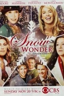 Kar Mucizesi (2005) afişi