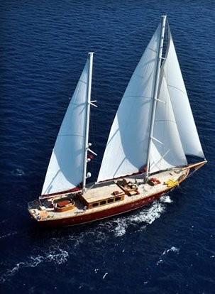 Mandıra Filozofu Fotoğrafı