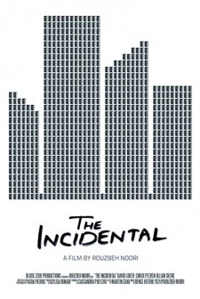The Incidental (2013) afişi