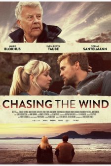 Rüzgarı Takip Et (2013) afişi