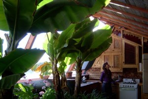 Garbage Warrior fotoğrafı