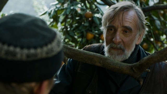 Mandalina Bahçesi Fotoğrafı