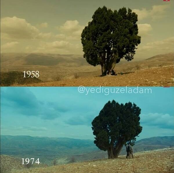 Yedi Güzel Adam Fotoğrafı