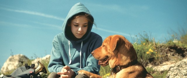 Beyaz Tanrı Fotoğrafı