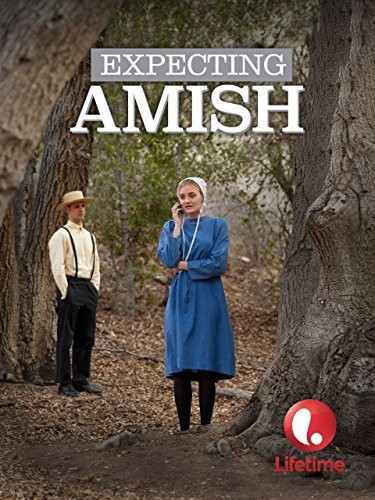 Expecting Amish (2014) afişi
