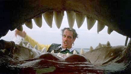 Çılgın Bir Yaz Fotoğrafı