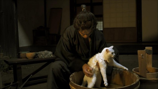 Neko Zamurai Fotoğrafı